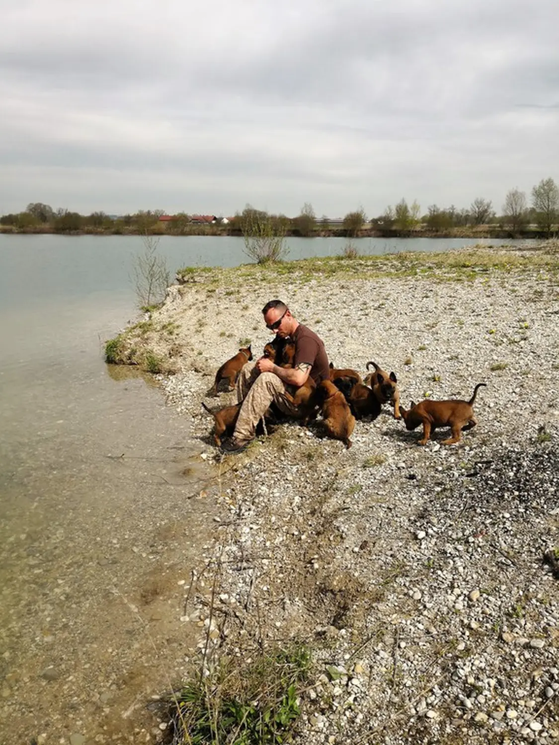 Welpen Stormcaller´s Workingdogs