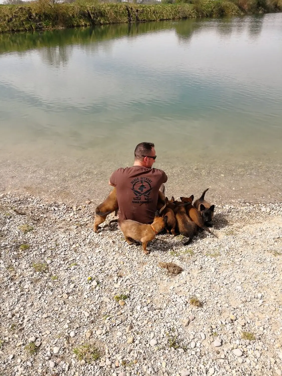 Welpen Stormcaller´s Workingdogs