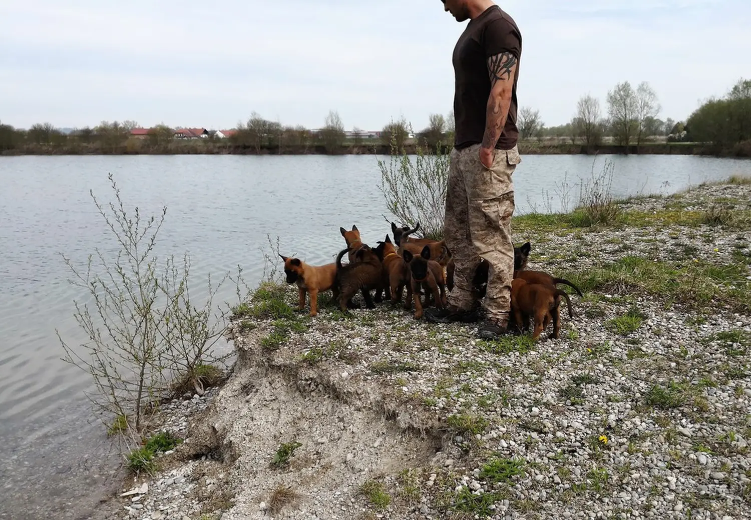 Welpen Stormcaller´s Workingdogs