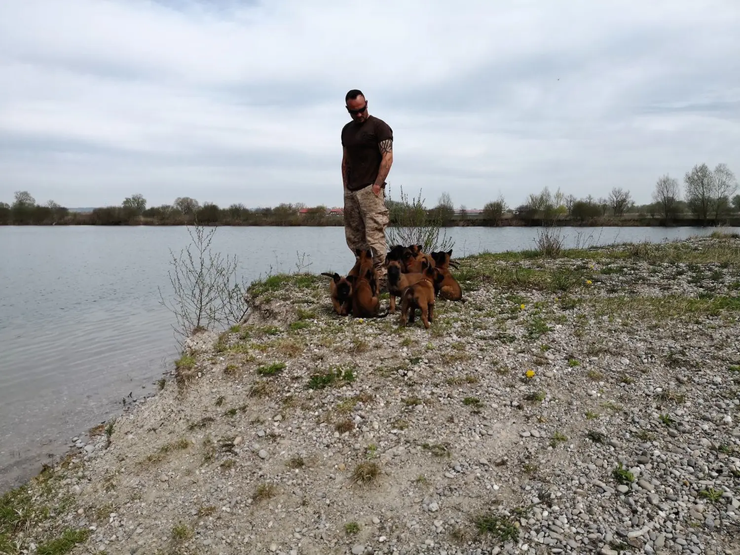 Welpen Stormcaller´s Workingdogs